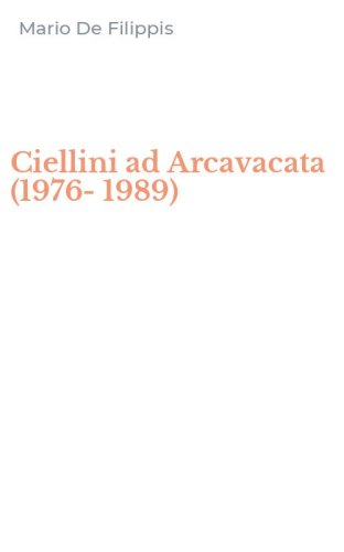 Ciellini ad Arcavacata (1976-1989)