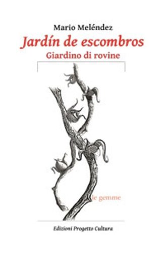 Jardin de escombros-Giardino di rovine
