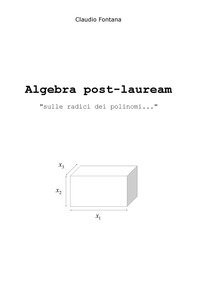 Algebra post-lauream &laquo;sulle radici dei polinomi...&raquo;