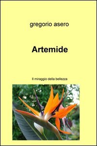 Artemide. Il miraggio della bellezza