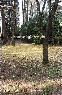 Come le foglie al vento. Nulla avviene per caso