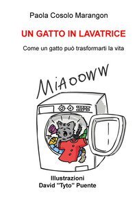 Un gatto in lavatrice. Come un gatto pu&ograve; trasformarti la vita
