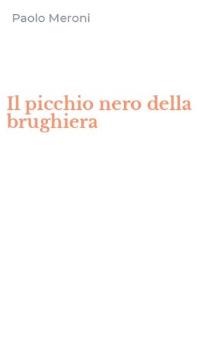 Il picchio nero della brughiera