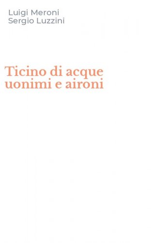 Ticino di acque uonimi e aironi