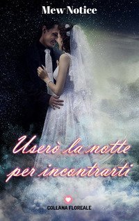 User&ograve; la notte per incontrarti