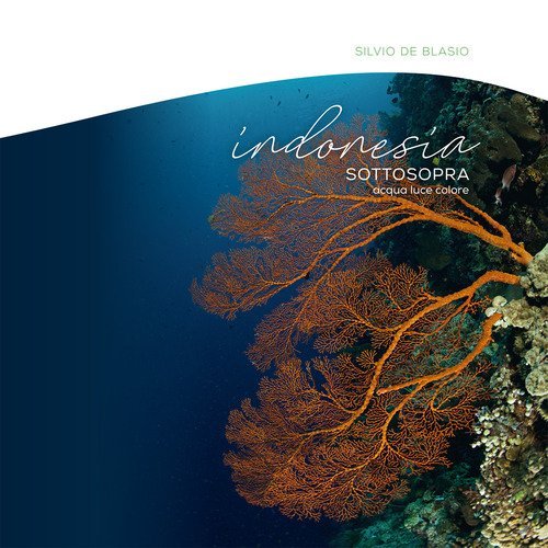 Indonesia sottosopra