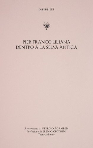 Dentro a la selva antica