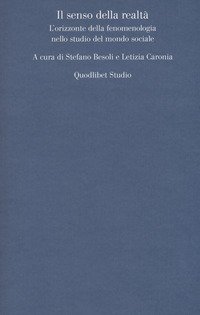 Il senso della realt&agrave;. L'orizzonte della fenomenologia nello studio del mondo sociale