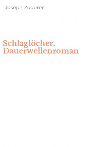 Schlagl&ouml;cher. Dauerwellenroman