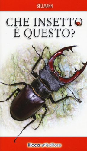 Che insetto &egrave; questo?