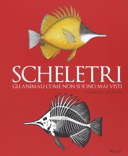 Scheletri. Gli animali come non si sono mai visti