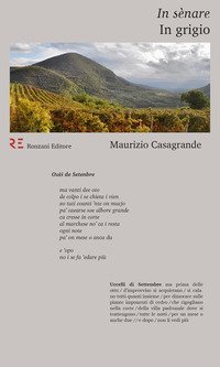 In s&egrave;nare-In grigio. Testo veneto a fronte