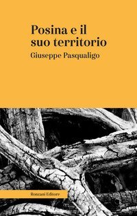 Posina e il suo territorio. Nei rapporti fisio-medico-storico-statistici