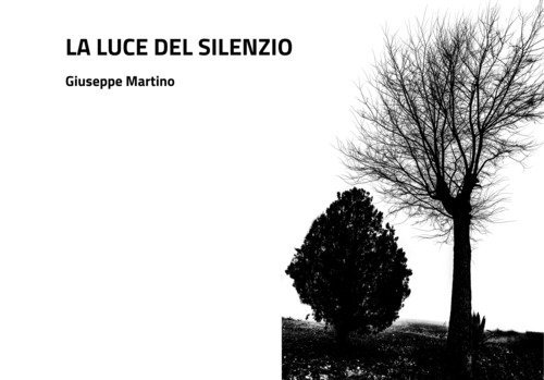 La luce del silenzio. Alla ricerca di serenit&agrave; interiore