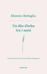 Un filo d'erba tra i sassi