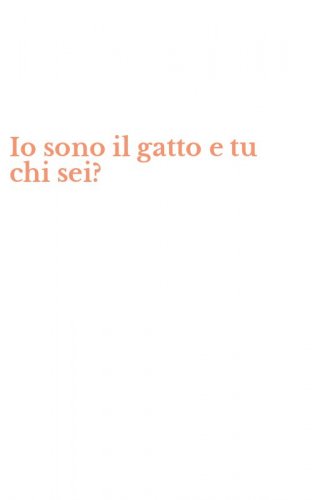 Io sono il gatto e tu chi sei?