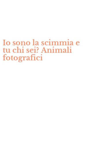 Io sono la scimmia e tu chi sei? Animali fotografici