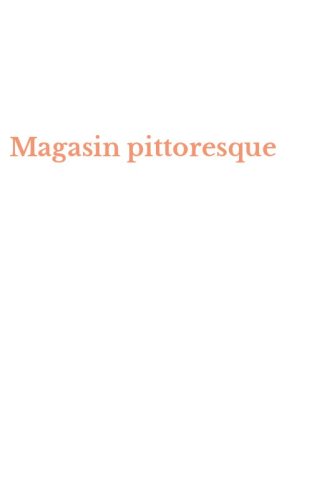 Magasin pittoresque