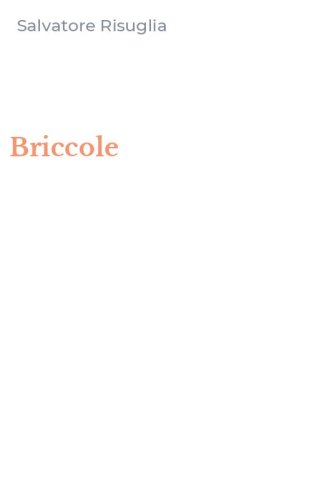 Briccole