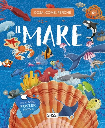 Il mare. Cosa, come, perch&eacute;