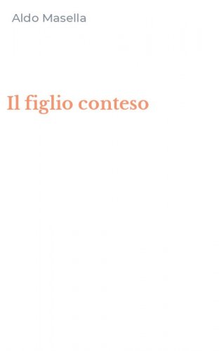 Il figlio conteso
