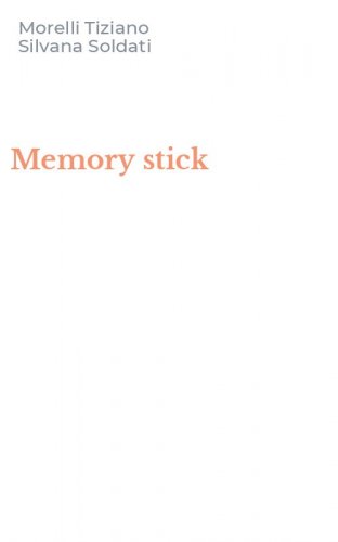 Memory stick