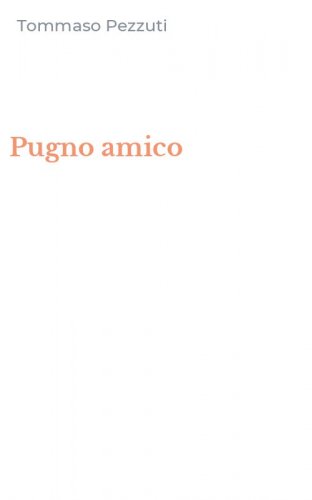 Pugno amico