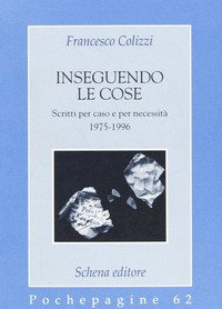 Inseguendo le cose. Scritti per caso e per necessit&agrave;