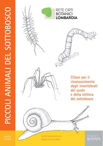 Piccoli animali del sottobosco. Chiavi per il riconoscimento degli invertebrati del suolo e della lettiera del sottobosco