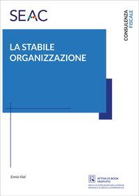 La stabile organizzazione