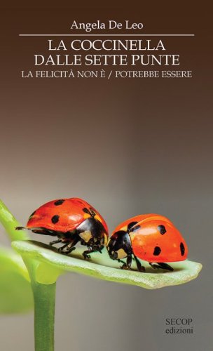 La coccinella dalle sette punte. La felicit&agrave; non &egrave;. La felicit&agrave; potrebbe essere