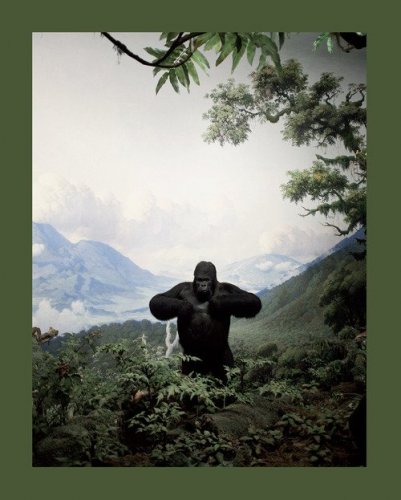 Zoology. Benvenuti nel regno animale