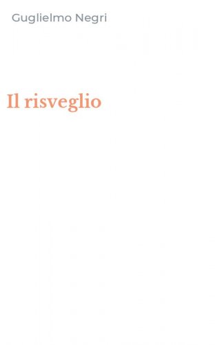 Il risveglio