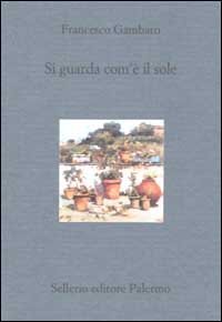 Si guarda com'&egrave; il sole