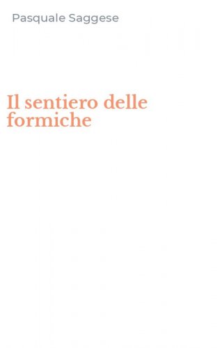 Il sentiero delle formiche
