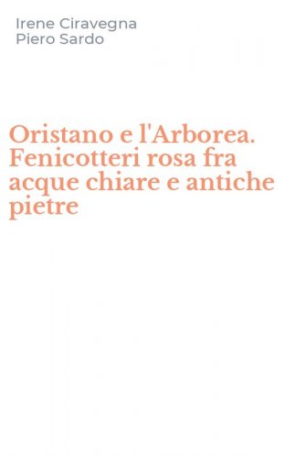 Oristano e l'Arborea. Fenicotteri rosa fra acque chiare e antiche pietre
