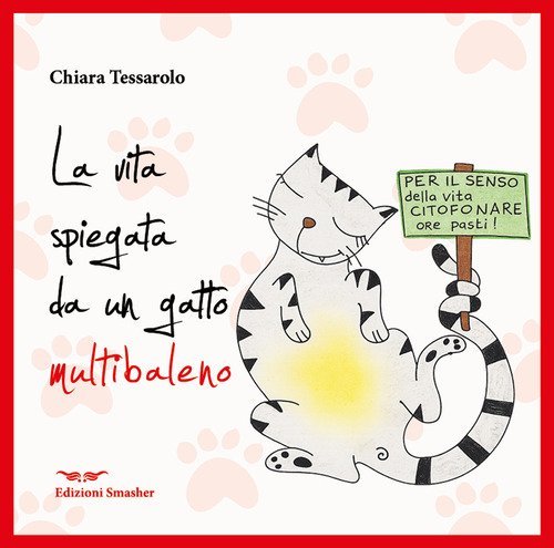 La vita spiegata da un gatto multibaleno