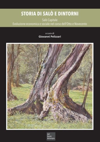 Storia di Sal&ograve; e dintorni
