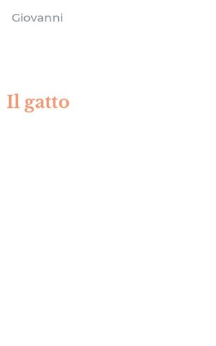 Il gatto