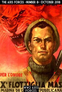 The Axis forces