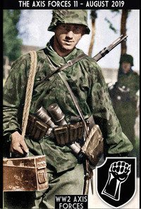 The Axis forces