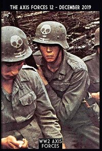 The Axis forces