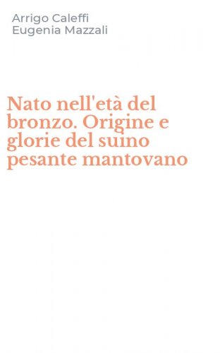 Nato nell'et&agrave; del bronzo. Origine e glorie del suino pesante mantovano