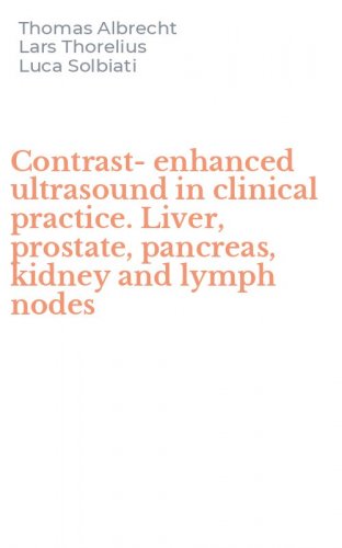 Contrast-enhanced ultrasound in clinical practice. Liver, prostate, pancreas, kidney and lymph nodes