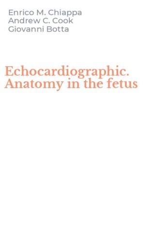 Echocardiographic. Anatomy in the fetus