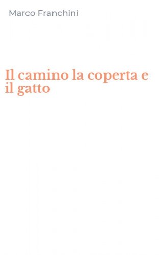 Il camino la coperta e il gatto