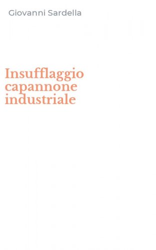 Insufflaggio capannone industriale