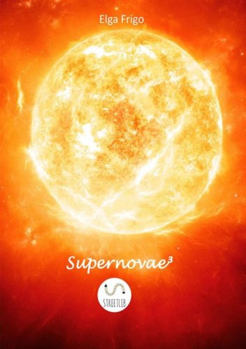 Supernovae&sup3;