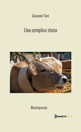 Una semplice storia