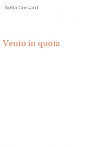 Vento in quota